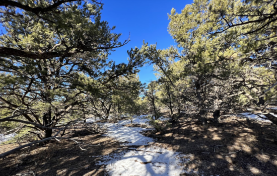 5.24 acres (WOODED) – Michaels Rd, Fort Garland, CO 81133
